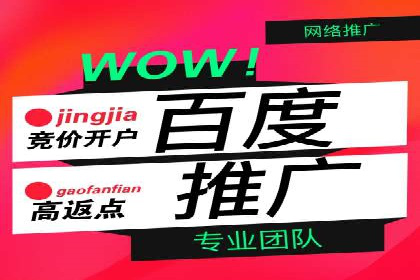 百度竞价广告赚钱的秘诀与案例分享